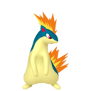 quilava