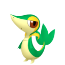 snivy