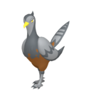 unfezant