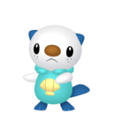 oshawott