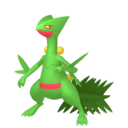 sceptile