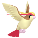 pidgeot - released