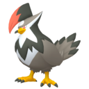 staraptor