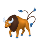 tauros (30)